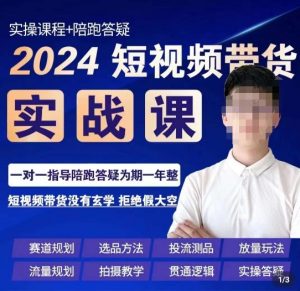 果哥·2024短视频带货实操课,赛道规划/选品方法/投流测品/放量玩法/流量规划/拍摄教学-网赚资源网