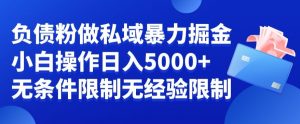 负债粉私域暴力掘金，小白操作入5000，无经验限制，无条件限制【揭秘】-网赚资源网