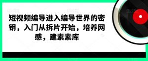 短视频编导进入编导世界的密钥，入门从拆片开始，培养网感，建素素库-网赚资源网