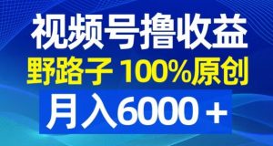 视频号野路子撸收益，100%原创，条条爆款，月入6000＋【揭秘】 - 网赚资源网-网赚资源网