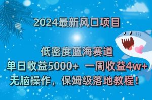 2024最新风口项目，低密度蓝海赛道，单日收益5000+，一周收益4w+！【揭秘】-网赚资源网