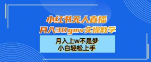小红书无人直播月入30gmv实操教学,月入上w不是梦,小白轻松上手【揭秘】-网赚资源网