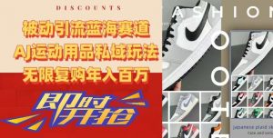 被动引流蓝海赛道,AJ运动用品私域玩法,无限复购年入百万【揭秘】-网赚资源网