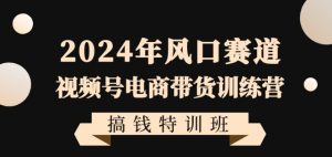 2024年风口赛道视频号电商带货训练营搞钱特训班,带领大家快速入局自媒体电商带货-网赚资源网