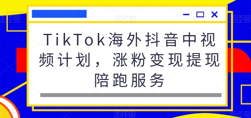 TikTok海外抖音中视频计划，涨粉变现提现陪跑服务 - 网赚资源网-网赚资源网