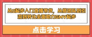 从0起步入门直播带货,从搭团队到引流到转化全面助力GMV起步-网赚资源网