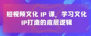 短视频文化IP课，学习文化IP打造的底层逻辑-网赚资源网