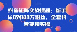 抖音矩阵实战课程：新手从0到100万粉丝，全套抖音变现实操-网赚资源网
