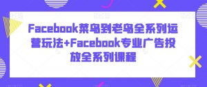 Facebook菜鸟到老鸟全系列运营玩法+Facebook专业广告投放全系列课程-网赚资源网