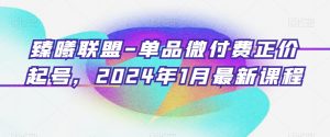 臻曦联盟-单品微付费正价起号，2024年1月最新课程-网赚资源网