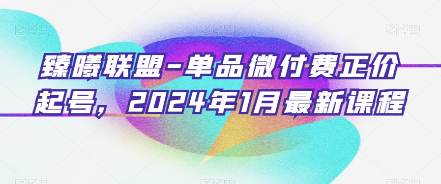 臻曦联盟-单品微付费正价起号，2024年1月最新课程 - 网赚资源网-网赚资源网