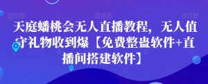 天庭蟠桃会无人直播教程，无人值守礼物收到爆【免费整蛊软件+直播间搭建软件】-网赚资源网