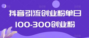 抖音引流创业粉单日100-300创业粉【揭秘】-网赚资源网
