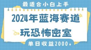 2024年蓝海赛道玩恐怖密室日入2000+,无需露脸,不要担心不会玩游戏,小白直接上手,保姆式教学【揭秘】-网赚资源网