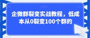 企微群裂变实战教程,低成本从0裂变100个群的-网赚资源网