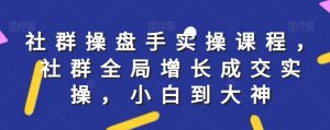 社群实操课程,社群全局增长成交实操,小白到大神-网赚资源网