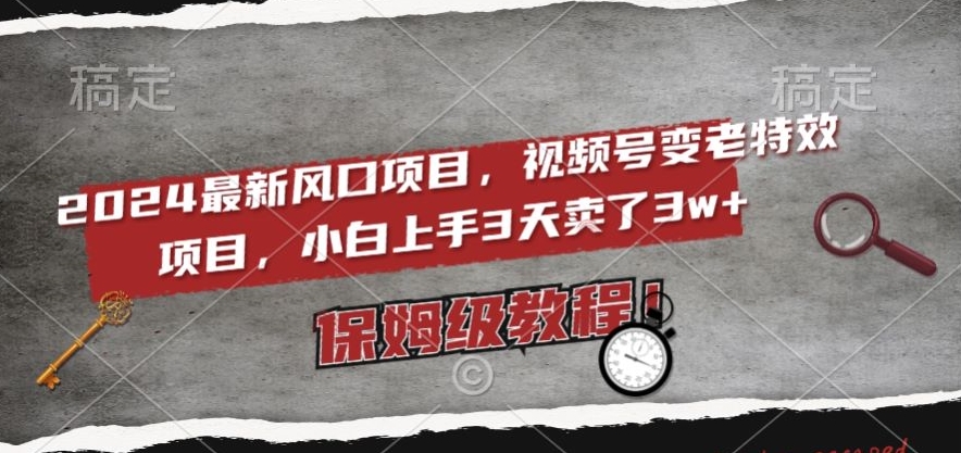 2024最新风口项目，视频号变老特效项目，电脑小白上手3天卖了3w+，保姆级教程【揭秘】-网赚资源网
