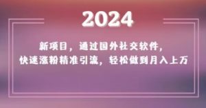 2024新项目,通过国外社交软件,快速涨粉精准引流,轻松做到月入上万【揭秘】-网赚资源网