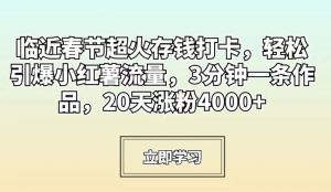 临近春节超火存钱打卡，轻松引爆小红薯流量，3分钟一条作品，20天涨粉4000+【揭秘】-网赚资源网