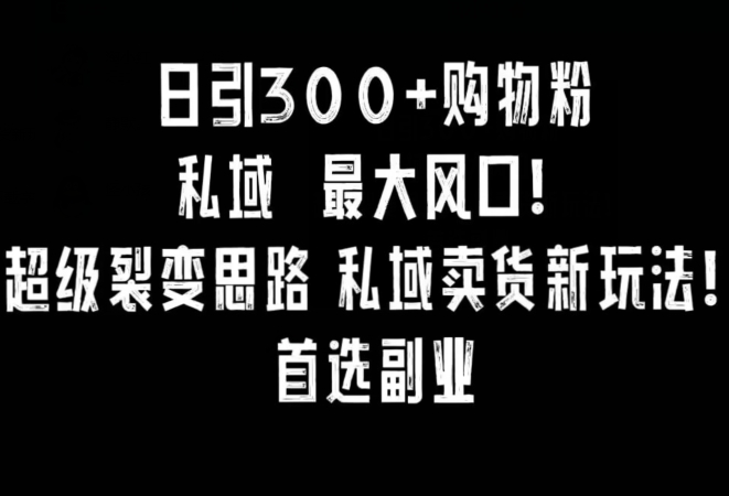 日引300+购物粉，超级裂变思路，私域卖货新玩法，小红书首选副业【揭秘】 - 网赚资源网-网赚资源网