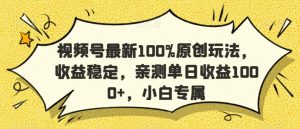视频号最新100%原创玩法，收益稳定，亲测单日收益1000+，小白专属【揭秘】 - 网赚资源网-网赚资源网