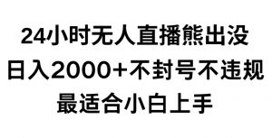 快手24小时无人直播熊出没，不封直播间，不违规，日入2000+，最适合小白上手，保姆式教学【揭秘】-网赚资源网