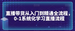 直播带货从入门到精通全流程,0-1系统化学习直播流程-网赚资源网