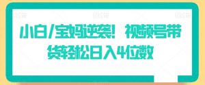 小白/宝妈逆袭！视频号带货轻松日入4位数【揭秘】-网赚资源网