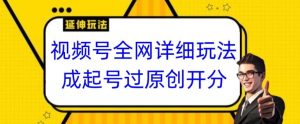 视频号全网最详细玩法,起号过原创开分成,单号日入300+【揭秘】-网赚资源网