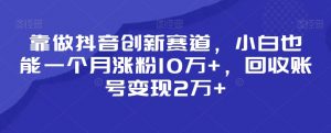 靠做抖音创新赛道,小白也能一个月涨粉10万+,回收账号变现2万+【揭秘】-网赚资源网