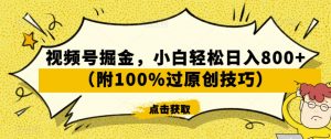 视频号掘金，小白轻松日入800+（附100%过原创技巧）【揭秘】-网赚资源网