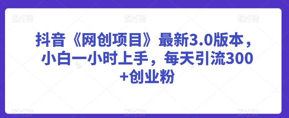 抖音《网创项目》最新3.0版本，小白一小时上手，每天引流300+创业粉【揭秘】 - 网赚资源网-网赚资源网