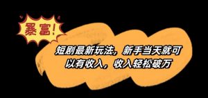 短剧最新玩法，新手当天就可以有收入，收入轻松破万【揭秘】-网赚资源网