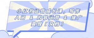 小红书运营成长课,写作入门&内容运营&接广变现【文档】-网赚资源网