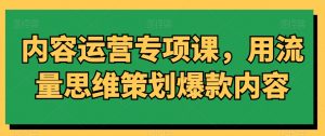 内容运营专项课,用流量思维策划爆款内容-网赚资源网