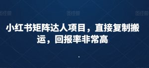 小红书矩阵达人项目,直接复制搬运,回报率非常高-网赚资源网