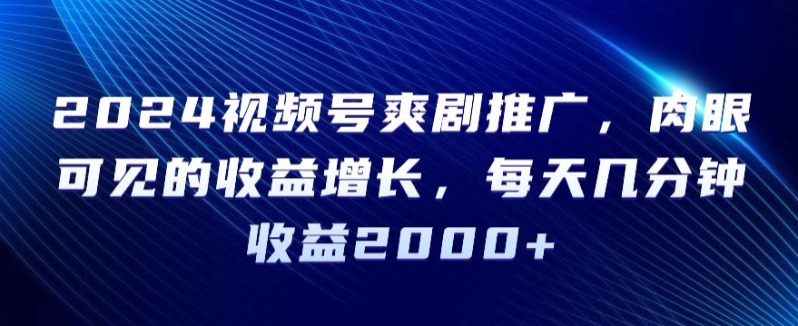 2024视频号爽剧推广，肉眼可见的收益增长，每天几分钟收益2000+【揭秘】 - 网赚资源网-网赚资源网