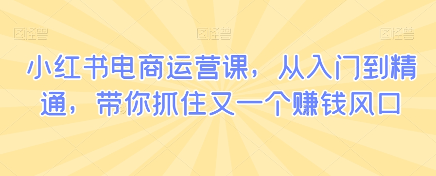 小红书电商运营课，从入门到精通，带你抓住又一个赚钱风口 - 网赚资源网-网赚资源网