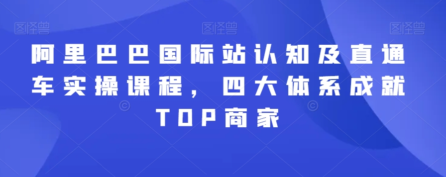 阿里巴巴国际站认知及直通车实操课程，四大体系成就TOP商家 - 网赚资源网-网赚资源网