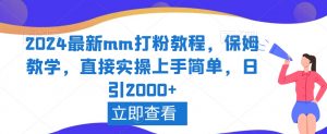 2024最新mm打粉教程，保姆教学，直接实操上手简单，日引2000+【揭秘】-网赚资源网