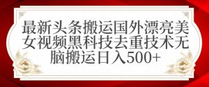 最新头条搬运国外漂亮美女视频黑科技去重技术无脑搬运日入500+【揭秘】-网赚资源网