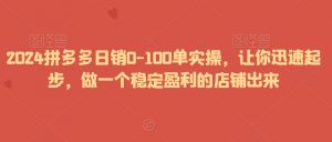 2024拼多多日销0-100单实操,让你迅速起步,做一个稳定盈利的店铺出来-网赚资源网