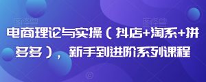 电商理论与实操（抖店+淘系+拼多多），新手到进阶系列课程 - 网赚资源网-网赚资源网