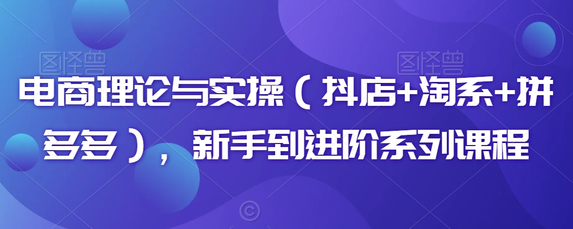 电商理论与实操（抖店+淘系+拼多多），新手到进阶系列课程 - 网赚资源网-网赚资源网