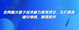 全网最火搭子经济暴力变现项目,主打垂直细分领域,精准陪伴【揭秘】-网赚资源网
