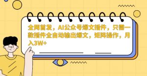 全网首发，AI公众号爆文插件，只需一款插件全自动输出爆文，矩阵操作，月入3W+【揭秘】-网赚资源网