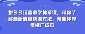 拼多多运营必学体系课,带你了解最新流量获取方法、帮助你降低推广成本-网赚资源网