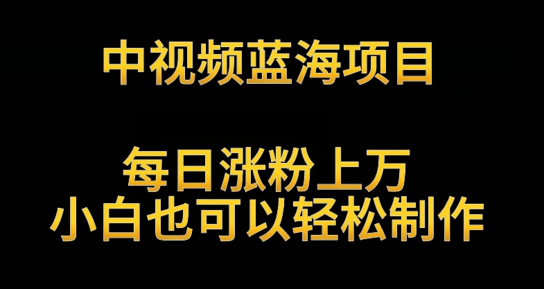 中视频蓝海项目，解读英雄人物生平，每日涨粉上万，小白也可以轻松制作，月入过万不是梦【揭秘】 - 网赚资源网-网赚资源网