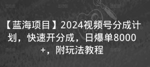 【蓝海项目】2024视频号分成计划，快速开分成，日爆单8000+，附玩法教程-网赚资源网