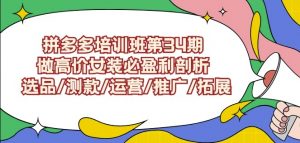 拼多多培训班第34期：做高价女装必盈利剖析选品/测款/运营/推广/拓展-网赚资源网
